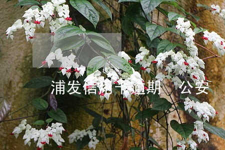 浦发信用卡逾期 公安 浦发信用卡逾期 公安